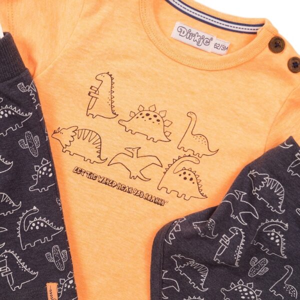 Beebide komplekt püksid, t-särk ja sall dinosaurustega - Image 4