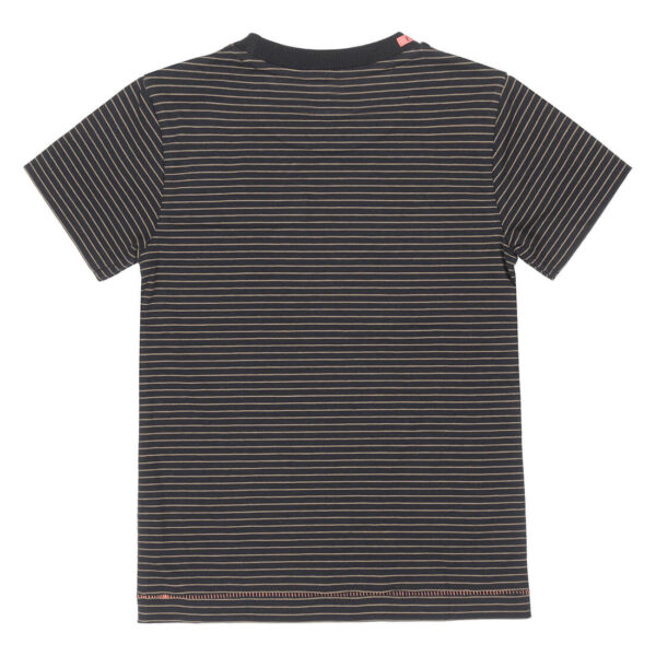 T-särk triibuline tume DJ Dutchjeans