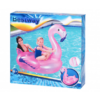 Ujumisrõngas Flamingo 127x127cm 317114