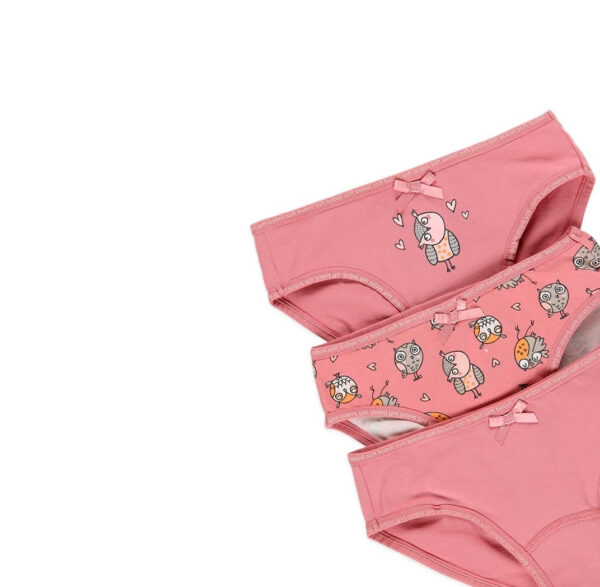 Tüdrukute aluspüksid 3-pakk "Öökullid" roosa