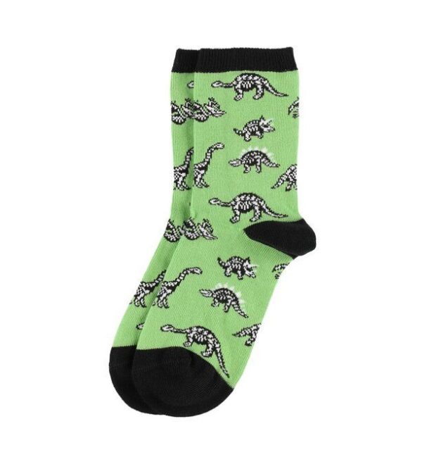 Värvilised sokid dinosaurustega