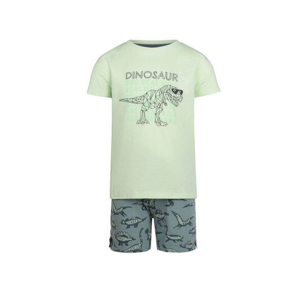 Pidzaama Dinosaurused Charlie Choe