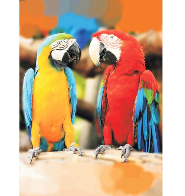 Diamond Painting 30x40cm Papagoid