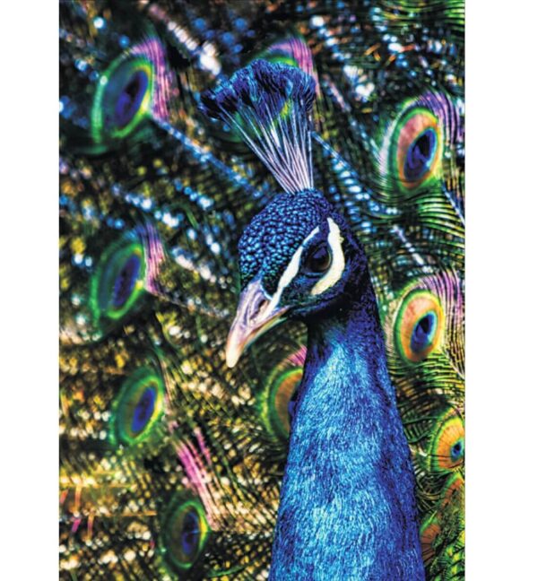 Diamond Painting 40x50cm Paabulind