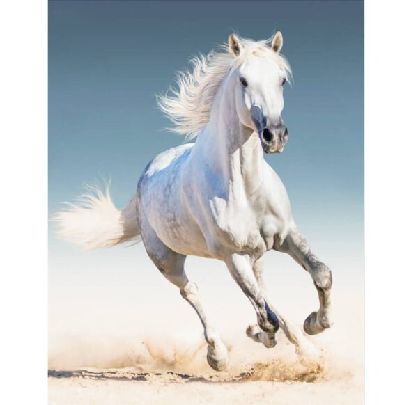 Diamond Painting 40x50cm Valge Hobune