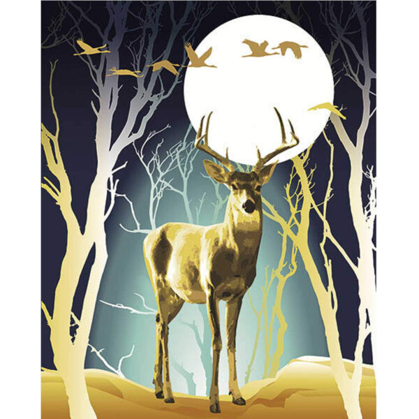 Diamond Painting 40x50cm Kits