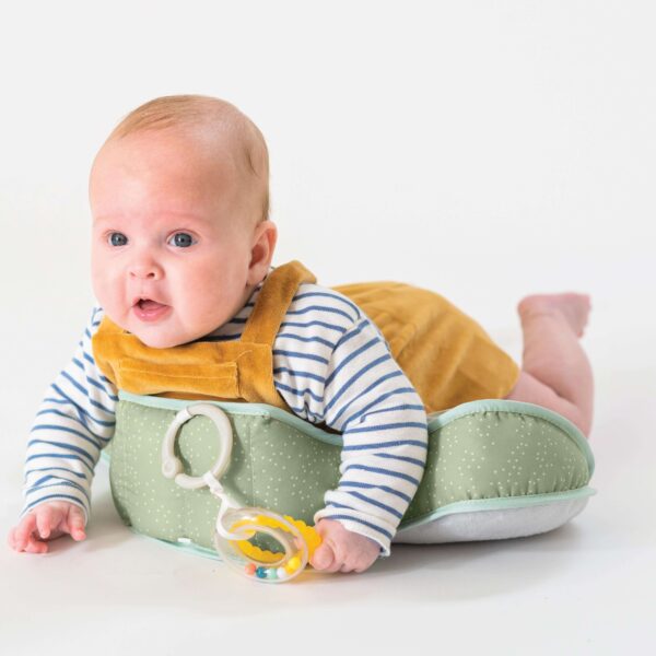 Alternative view of Taf Toys aktiivsuspadi Savannah