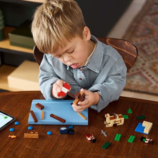Lego Minecraft piraadilaev