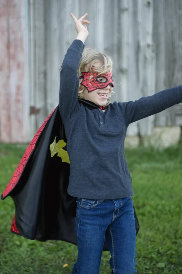 ämblikmees ja batman