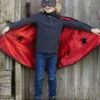 ämblikmees ja batman