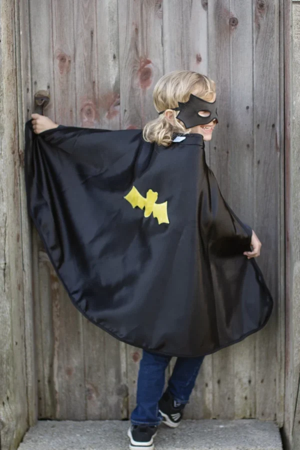 ämblikmees ja batman