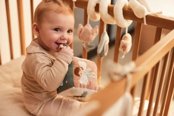 Jollein tegevuskuubik beebidele lindude ja haldjatega