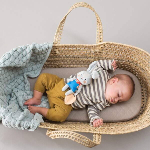 Taf Toys ripputatatav tegevusmänguasi jänes