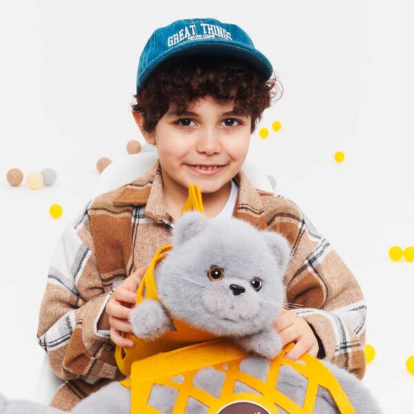 pehme mänguasi hall suur kass Milo