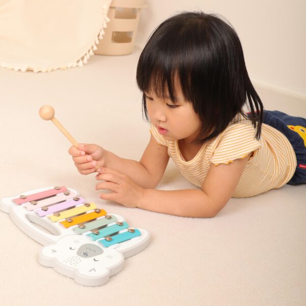 laste muusikariistad puidust ksülofon