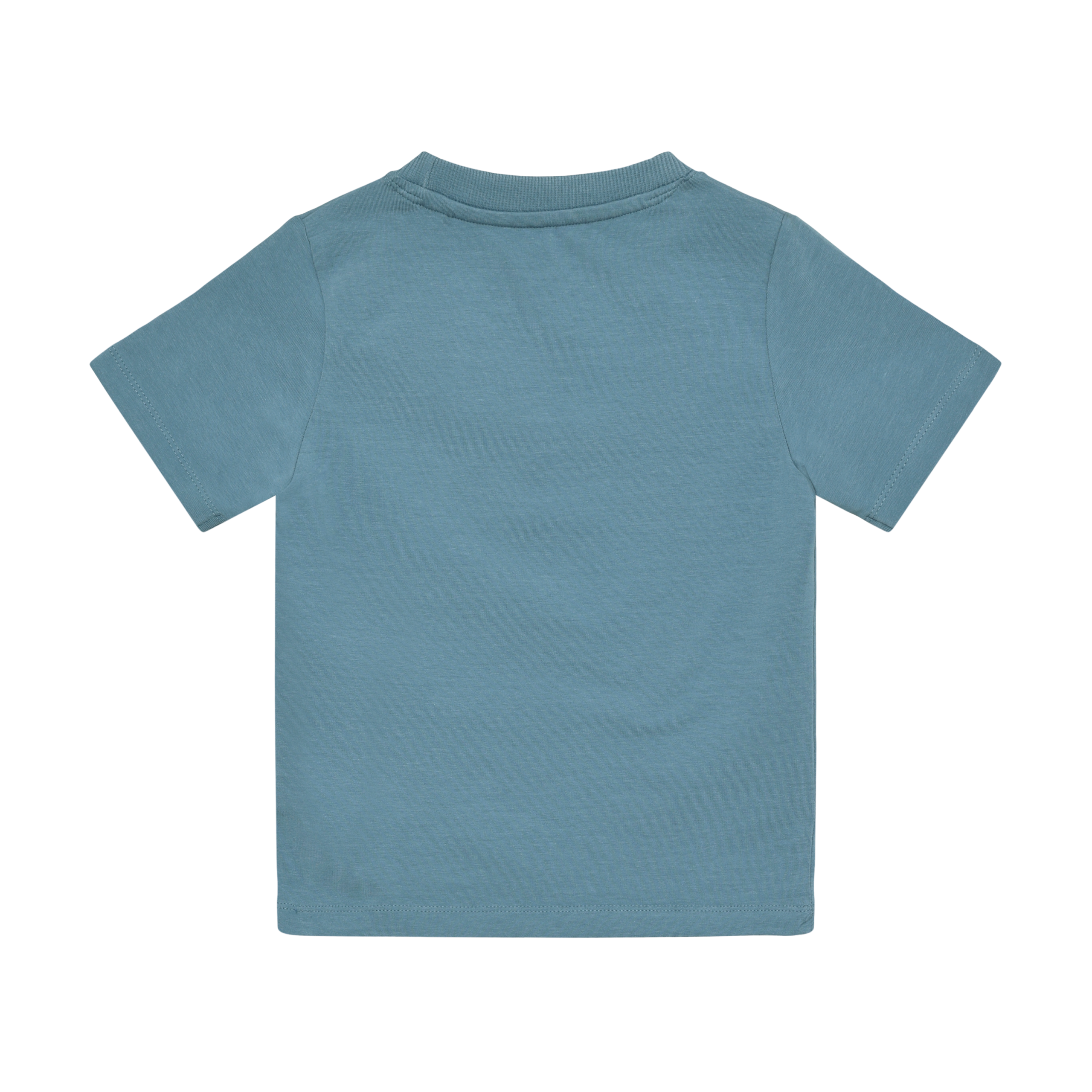 poiste sinine kahte värvi litriteg ninasarvikuga t-särk